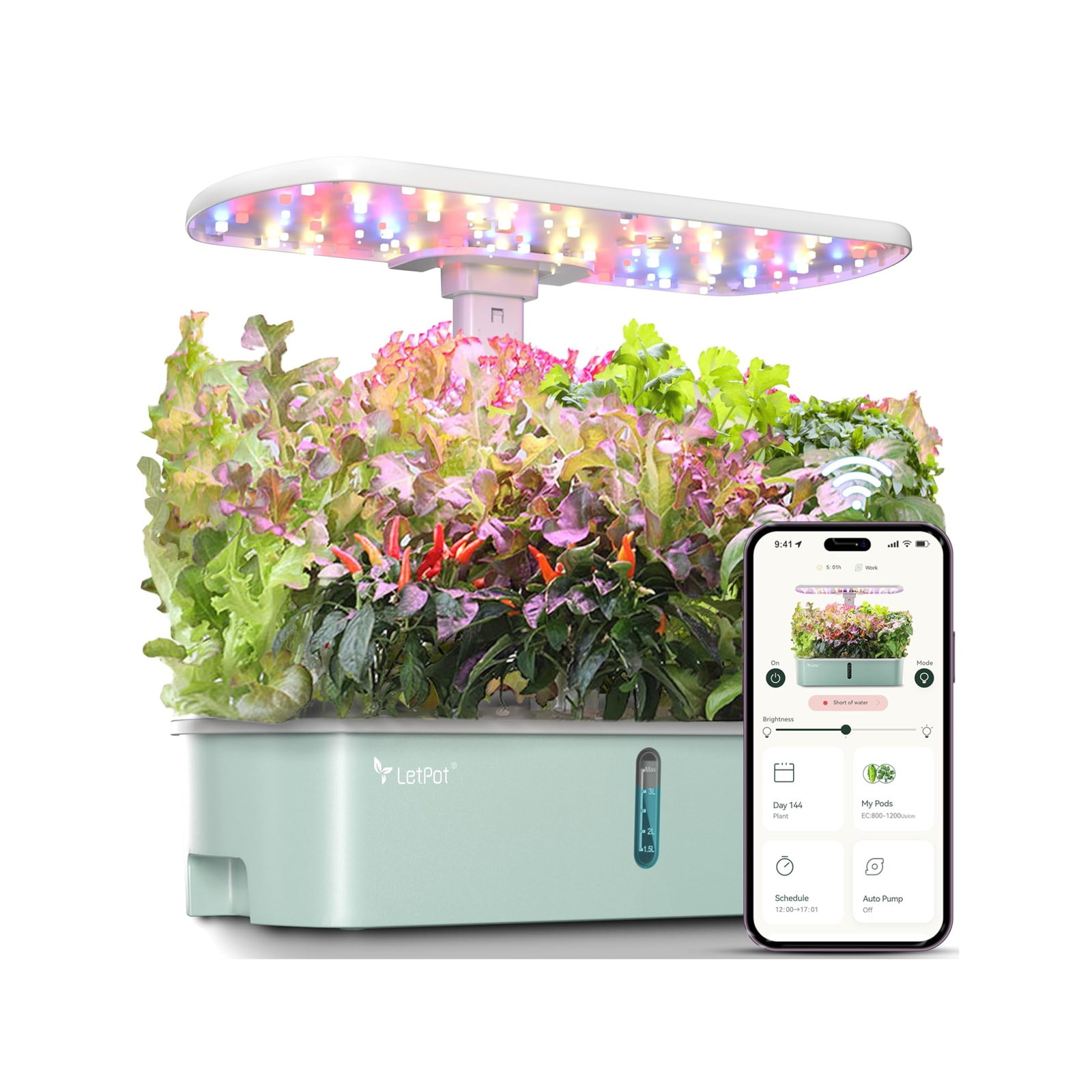 Hydroponics Indoor Plant Growing System