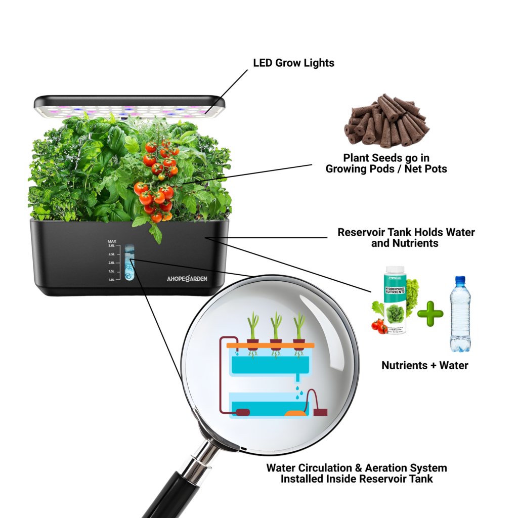 Hydroponic Gardening: Important Parts of Hydroponic System Exaplained